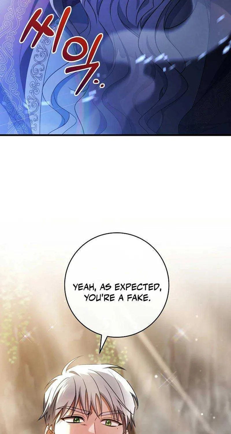 It’s My Destiny To Be The Hero’s Saviour Chapter 107 page 79 - 