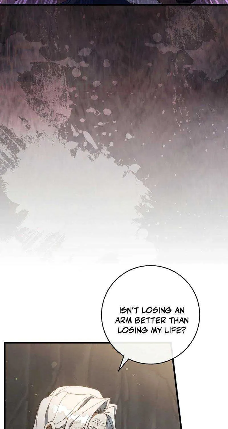 It’s My Destiny To Be The Hero’s Saviour Chapter 108 page 44 - 