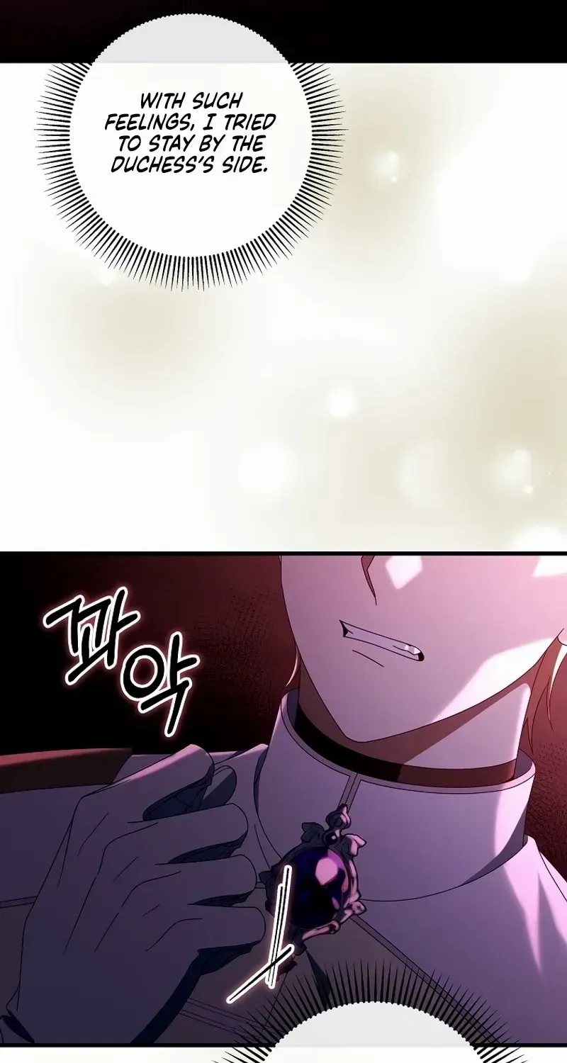 It’s My Destiny To Be The Hero’s Saviour Chapter 116 page 12 - 