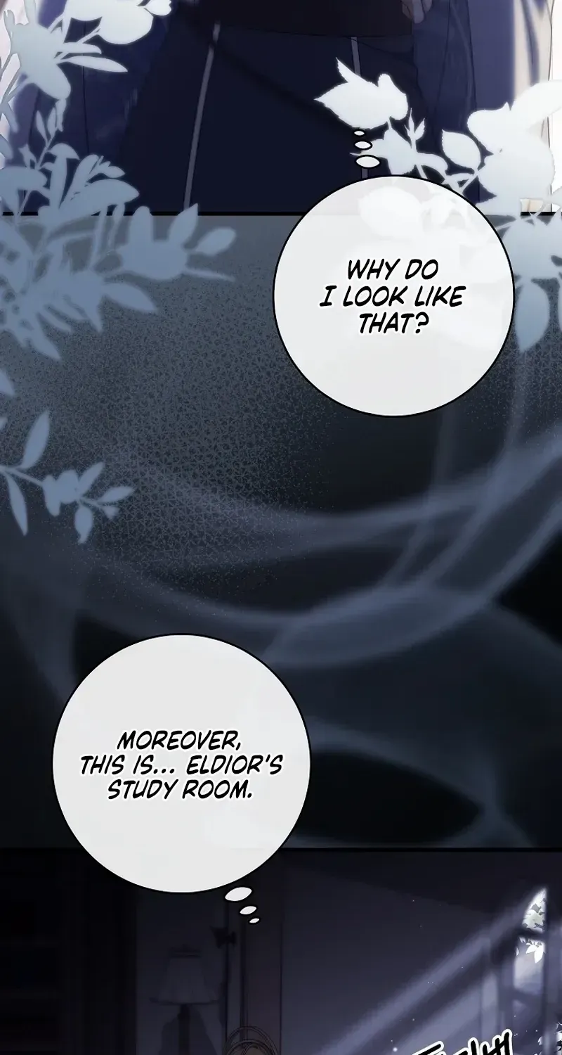 It’s My Destiny To Be The Hero’s Saviour Chapter 116 page 68 - 