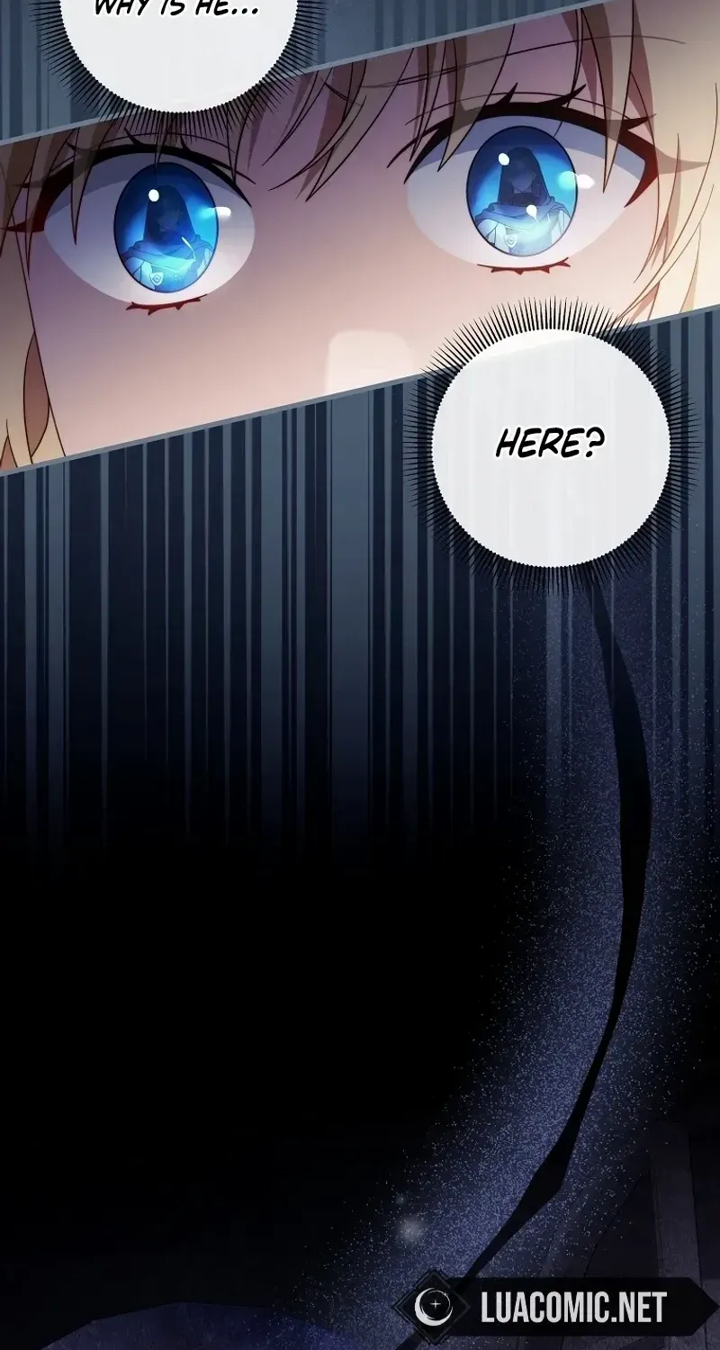 It’s My Destiny To Be The Hero’s Saviour Chapter 116 page 90 - 