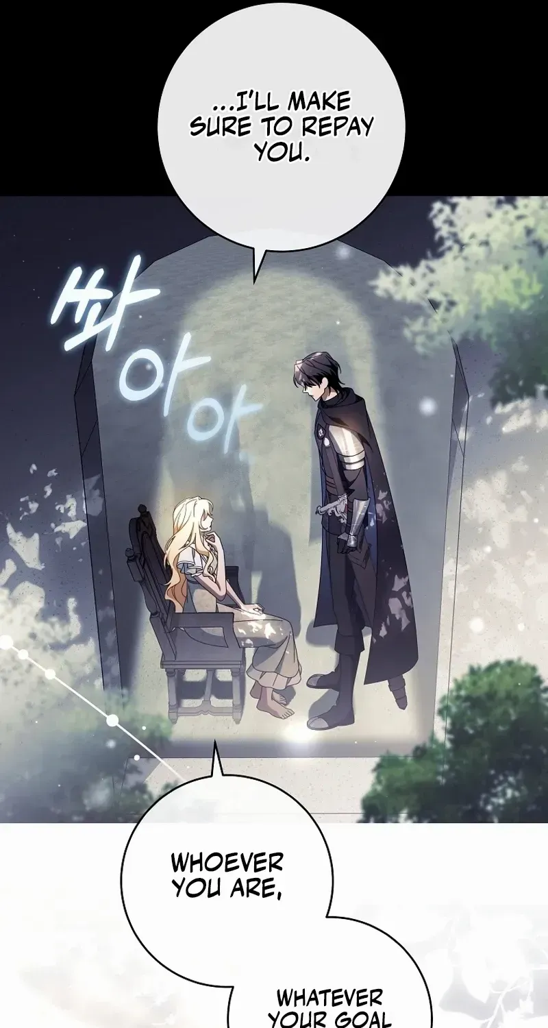 It’s My Destiny To Be The Hero’s Saviour Chapter 117 page 11 - 