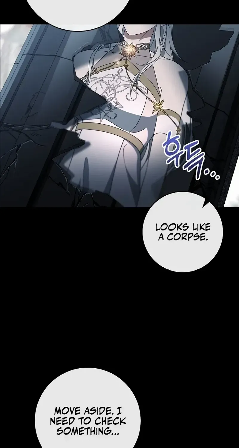 It’s My Destiny To Be The Hero’s Saviour Chapter 118 page 90 - 