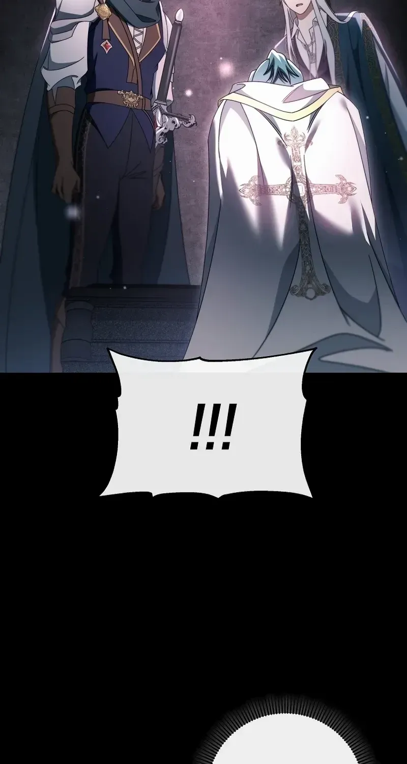 It’s My Destiny To Be The Hero’s Saviour Chapter 118 page 96 - 