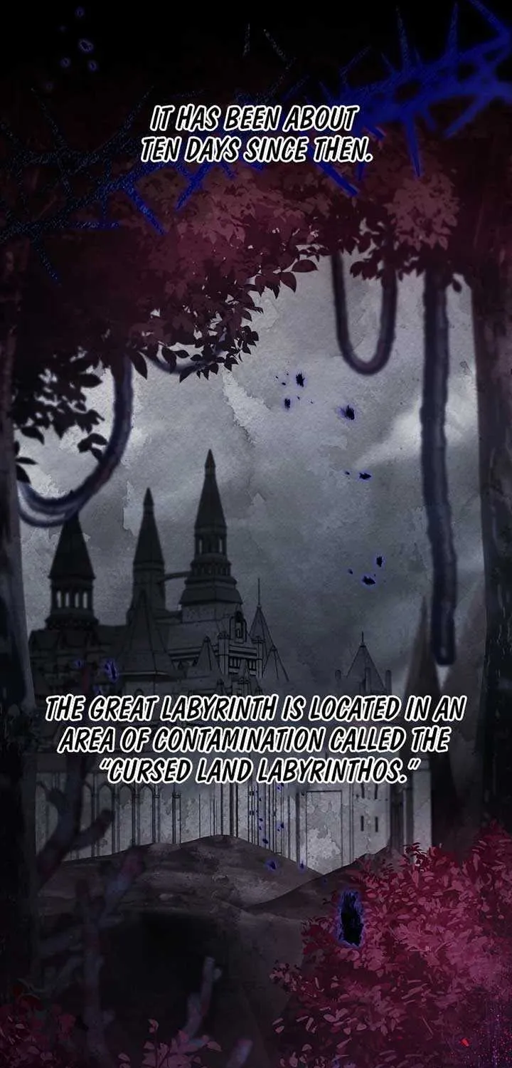 It’s My Destiny To Be The Hero’s Saviour Chapter 126 page 19 - 