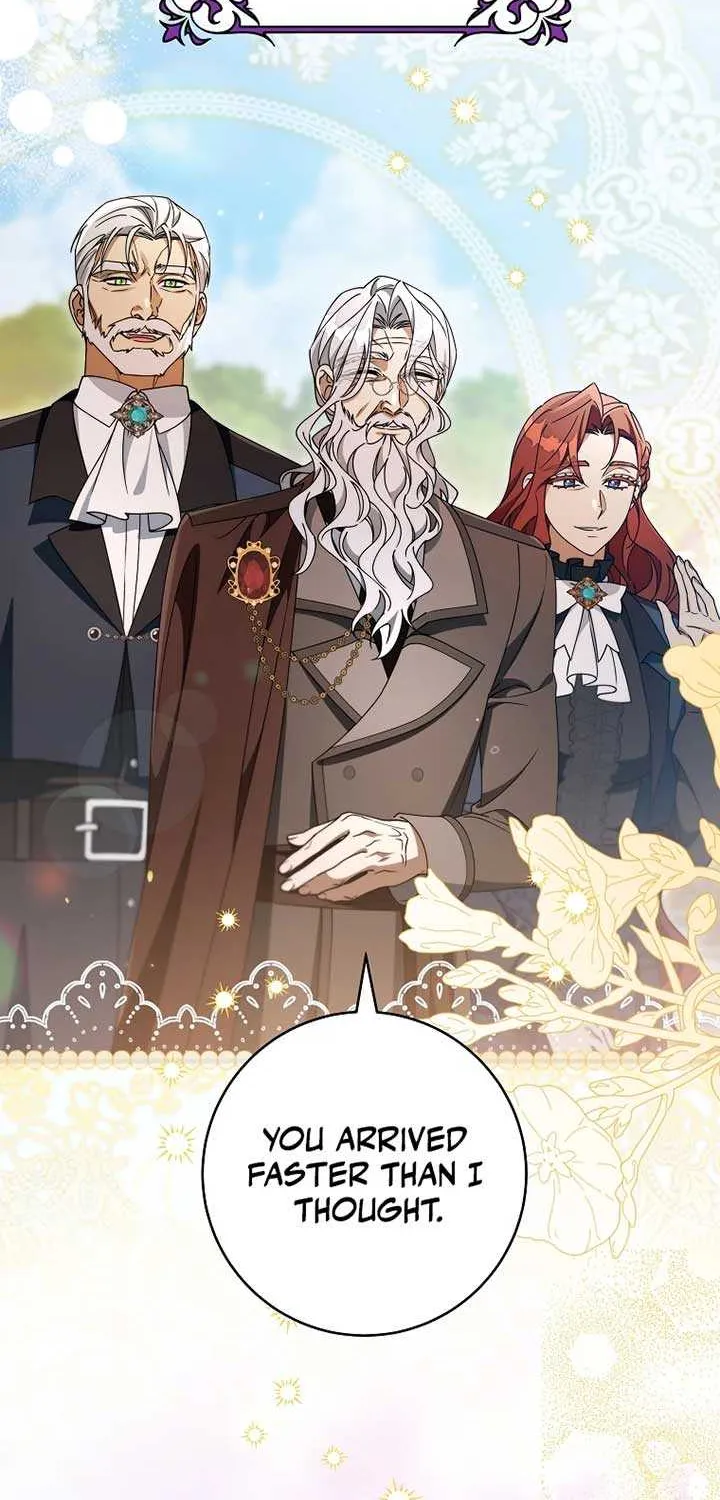 It’s My Destiny To Be The Hero’s Saviour Chapter 126 page 28 - 