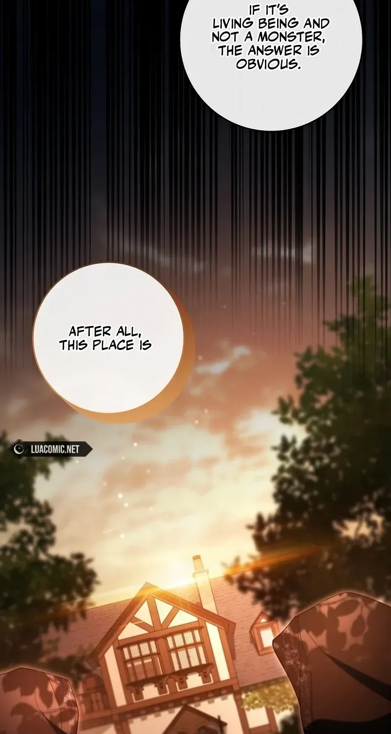 It’s My Destiny To Be The Hero’s Saviour Chapter 127 page 22 - 