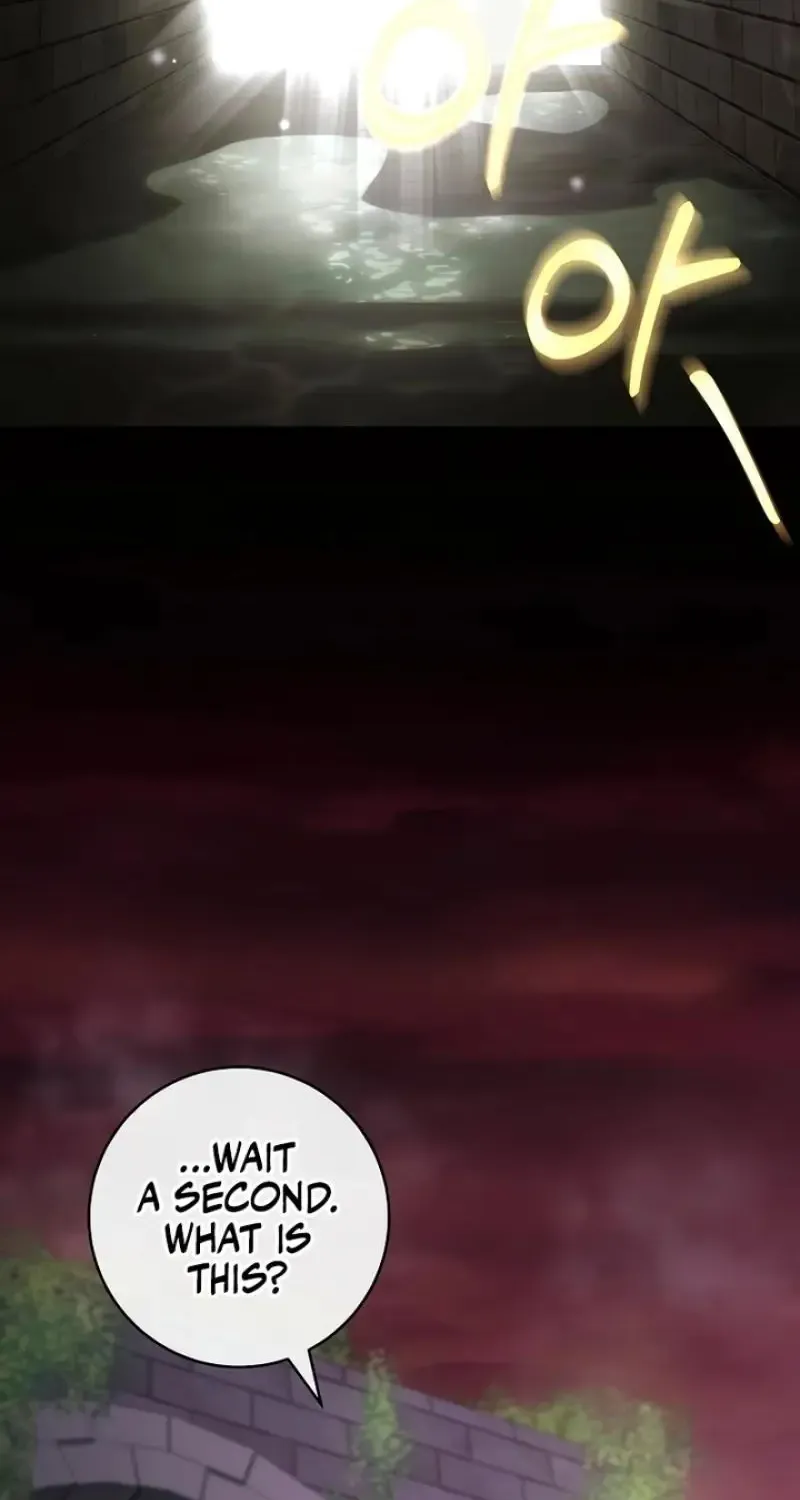 It’s My Destiny To Be The Hero’s Saviour Chapter 129 page 16 - 