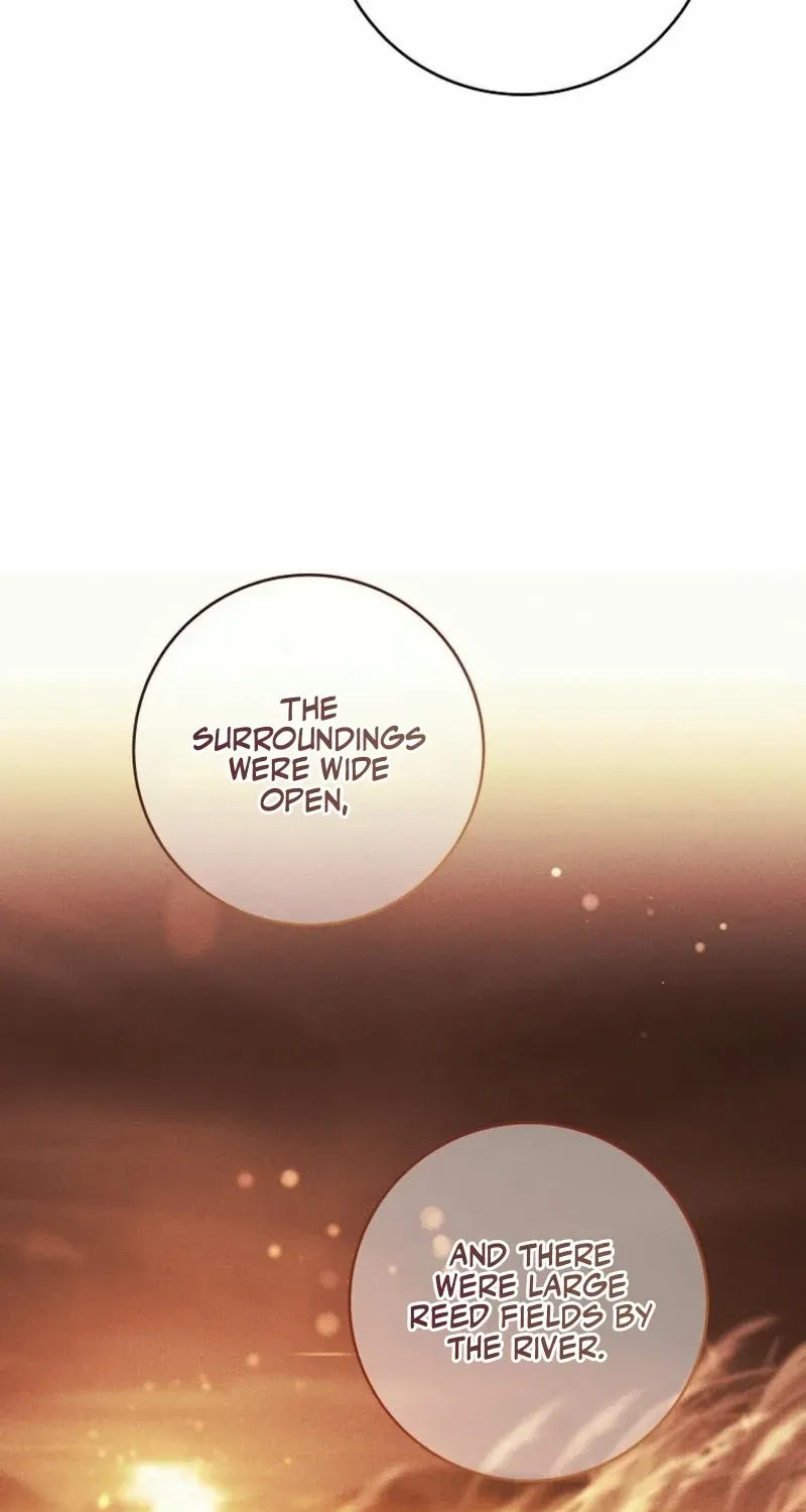 It’s My Destiny To Be The Hero’s Saviour Chapter 134 page 46 - 