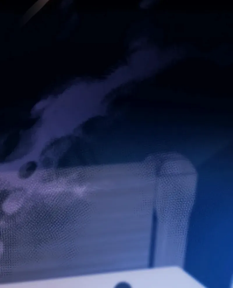 It’s My Destiny To Be The Hero’s Saviour Chapter 134 page 81 - 