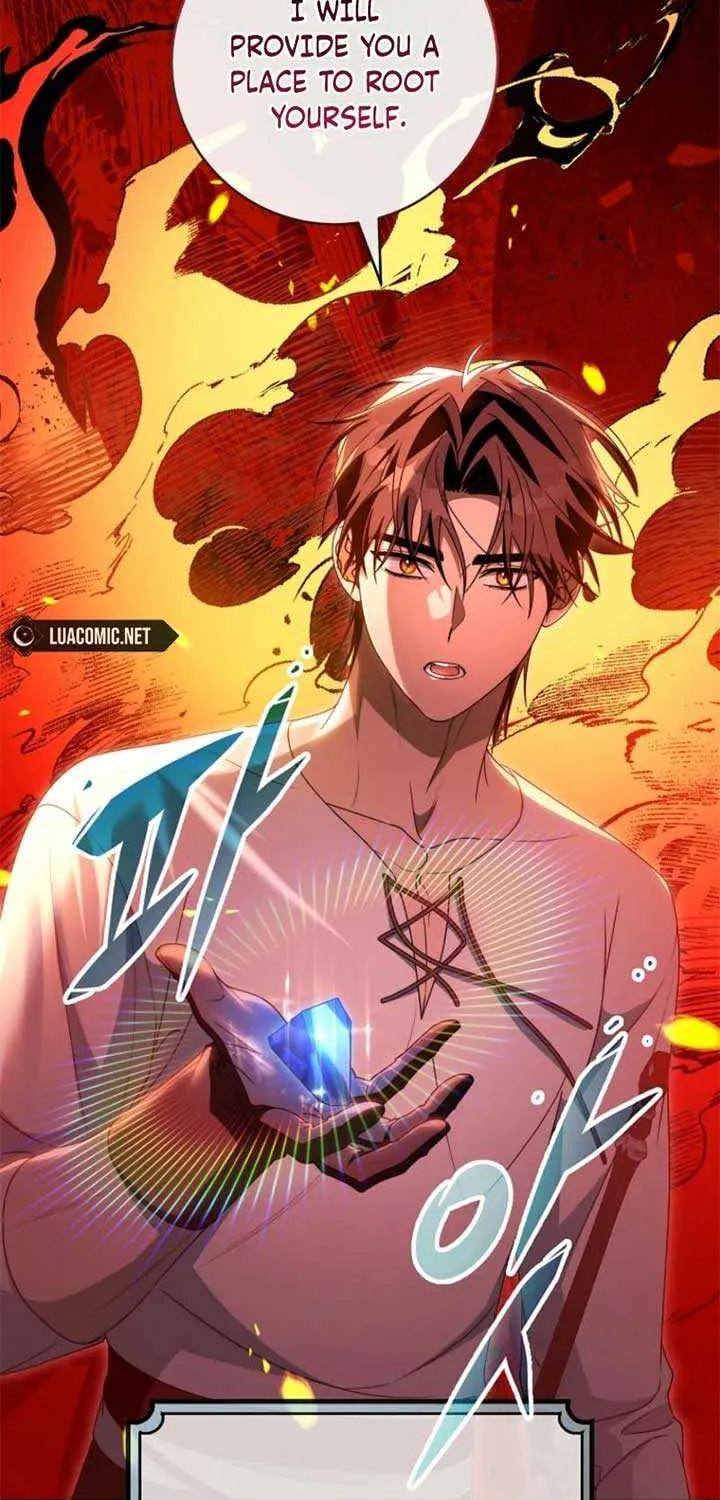 It’s My Destiny To Be The Hero’s Saviour Chapter 138 page 71 - 