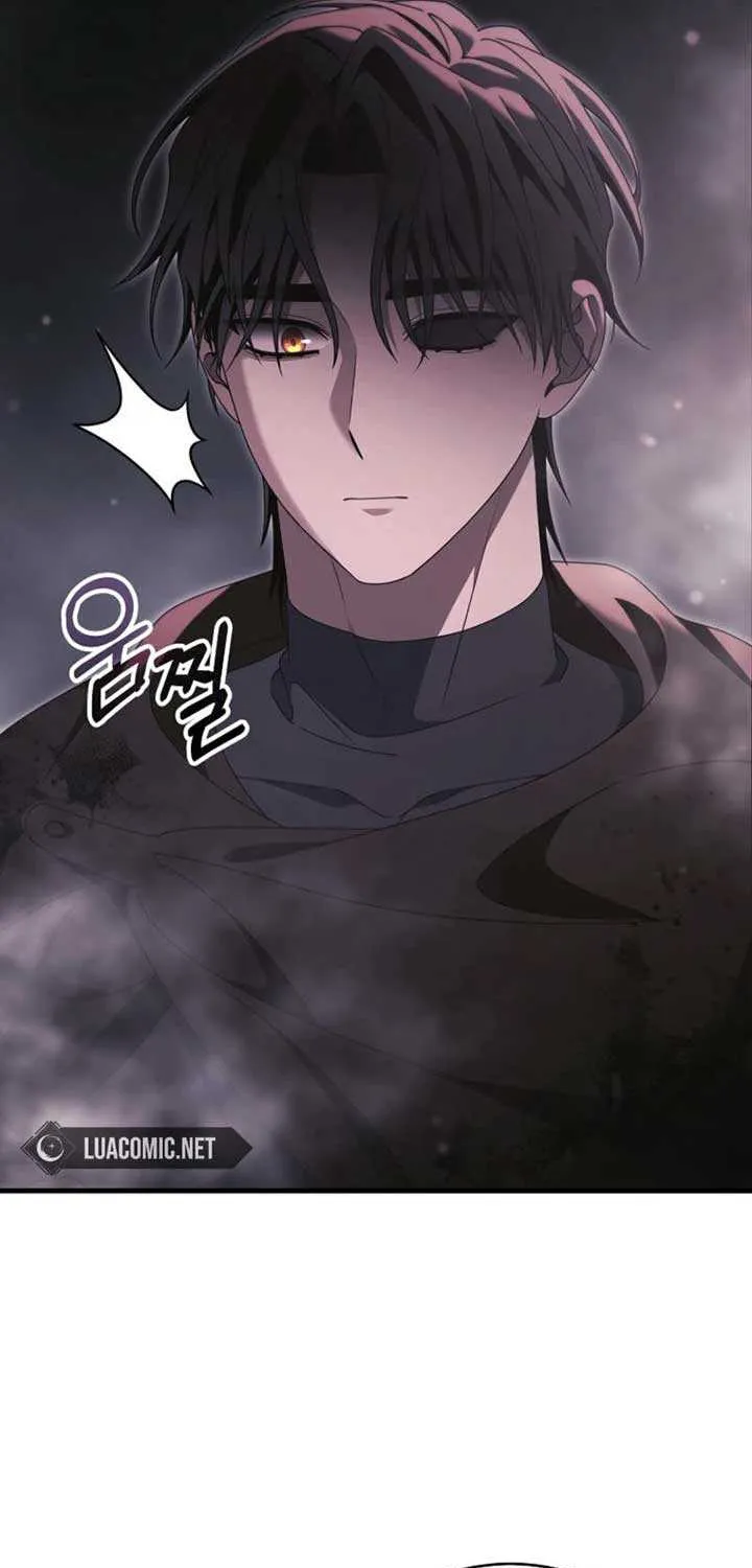 It’s My Destiny To Be The Hero’s Saviour Chapter 139 page 65 - 