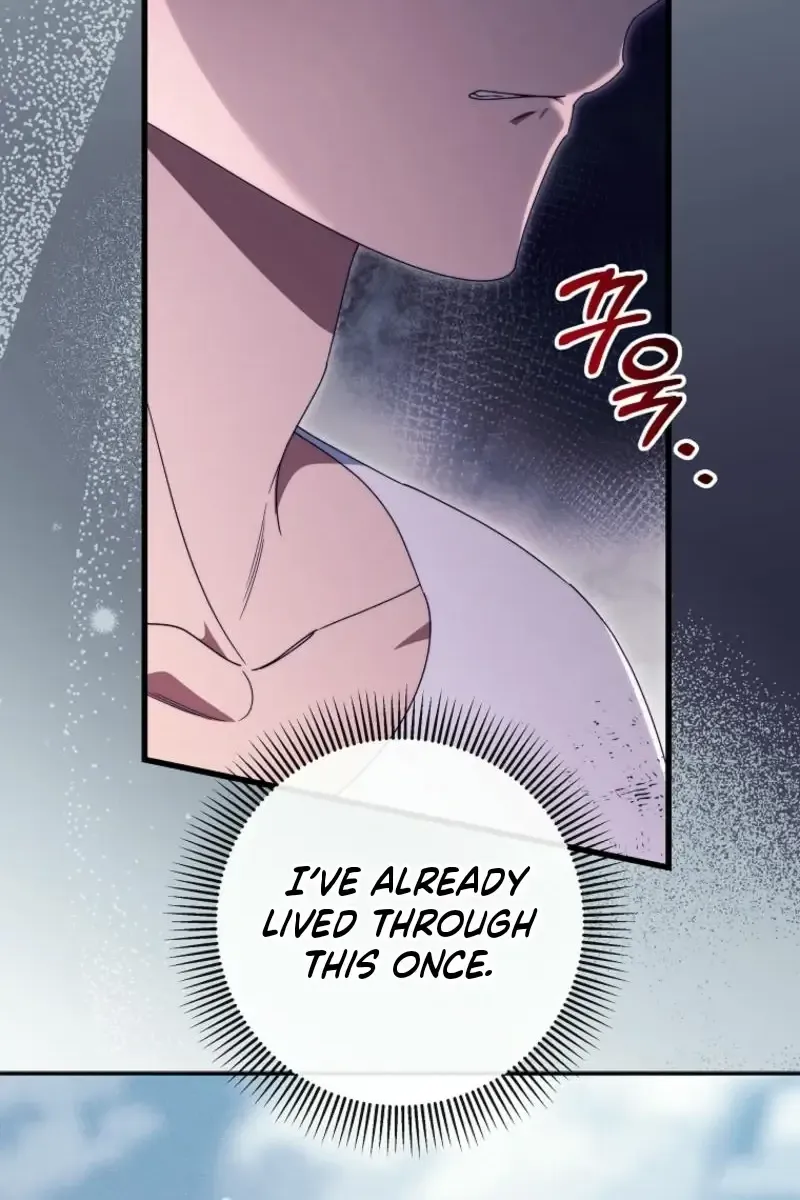 It’s My Destiny To Be The Hero’s Saviour Chapter 142 page 63 - 