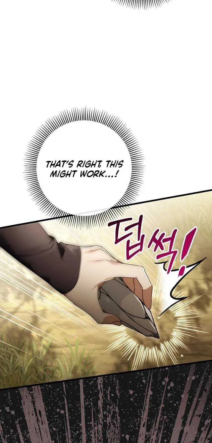 It’s My Destiny To Be The Hero’s Saviour Chapter 144 page 46 - 