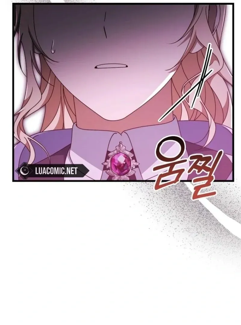It’s My Destiny To Be The Hero’s Saviour Chapter 146 page 107 - 