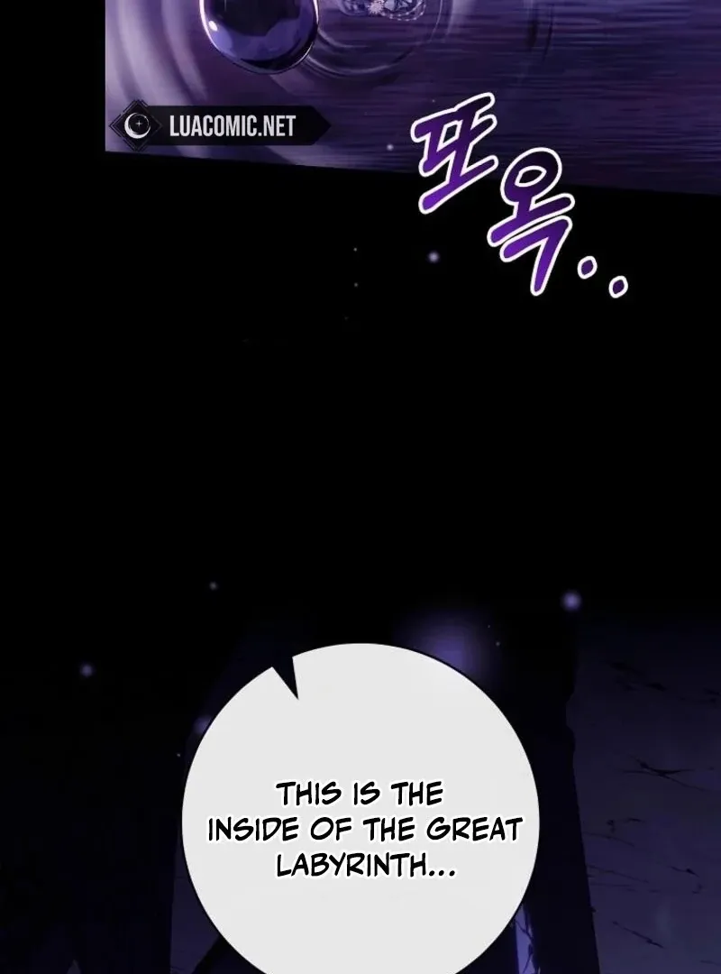 It’s My Destiny To Be The Hero’s Saviour Chapter 146 page 121 - 