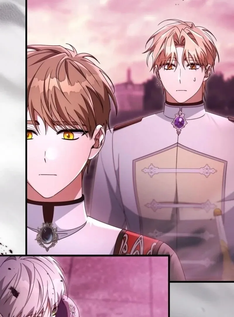 It’s My Destiny To Be The Hero’s Saviour Chapter 146 page 89 - 