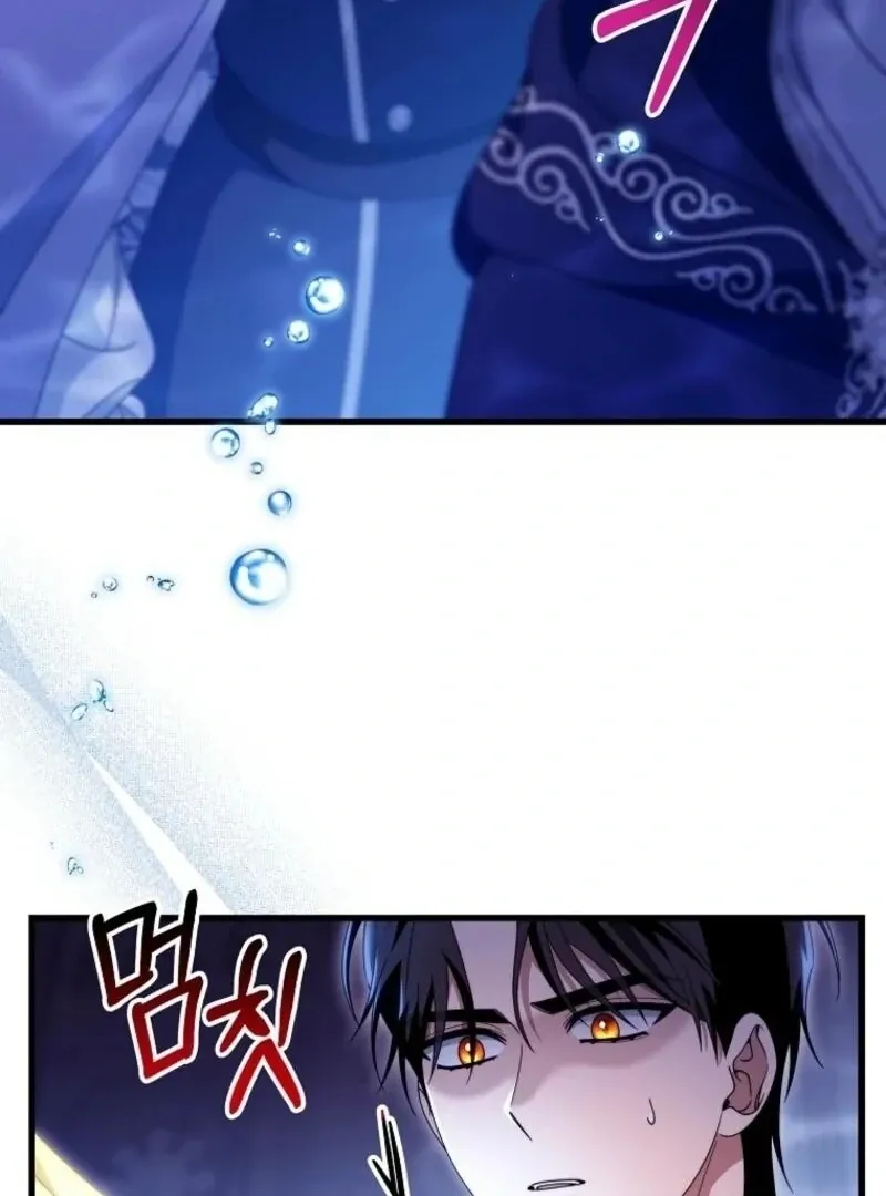 It’s My Destiny To Be The Hero’s Saviour Chapter 147 page 113 - 