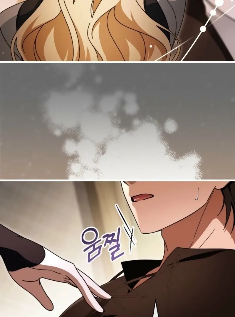 It’s My Destiny To Be The Hero’s Saviour Chapter 150 page 47 - 
