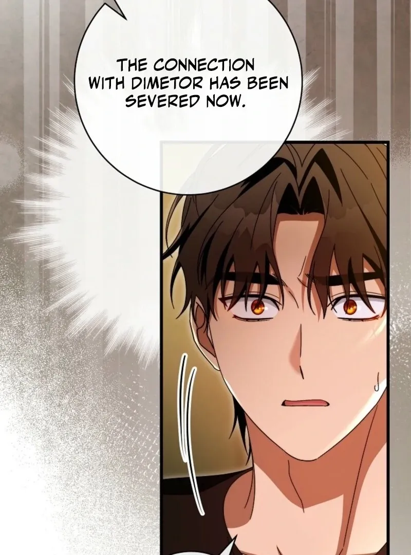 It’s My Destiny To Be The Hero’s Saviour Chapter 150 page 71 - 