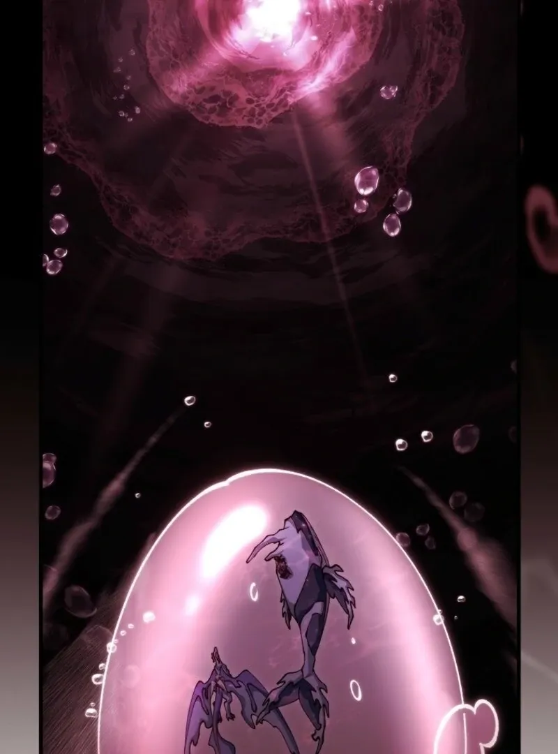 It’s My Destiny To Be The Hero’s Saviour Chapter 152 page 133 - 