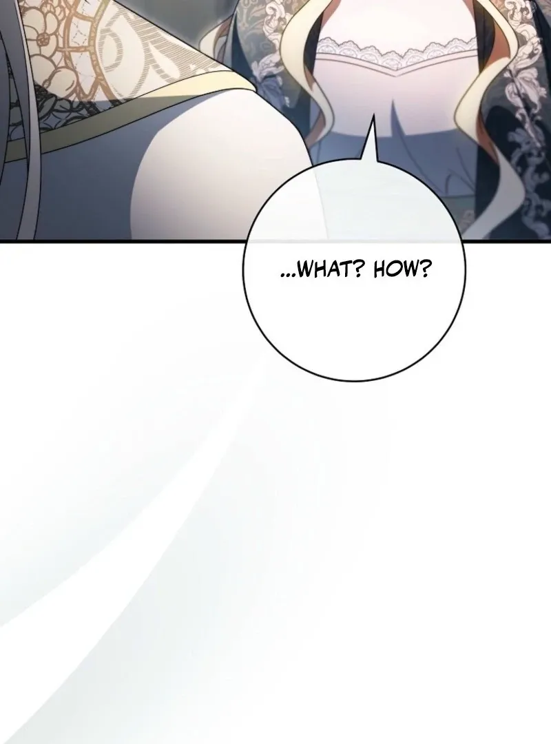 It’s My Destiny To Be The Hero’s Saviour Chapter 152 page 95 - 