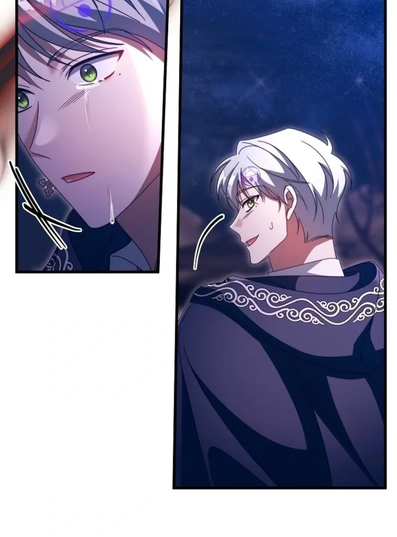 It’s My Destiny To Be The Hero’s Saviour Chapter 153 page 137 - 