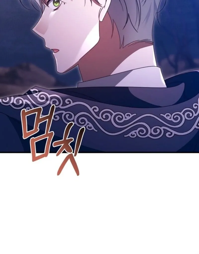 It’s My Destiny To Be The Hero’s Saviour Chapter 153 page 139 - 