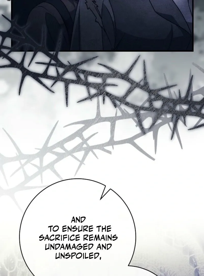 It’s My Destiny To Be The Hero’s Saviour Chapter 153 page 81 - 