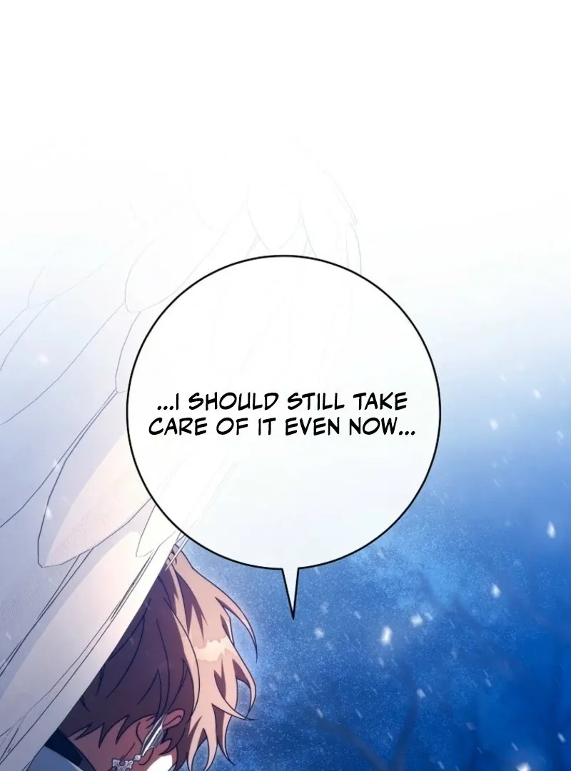 It’s My Destiny To Be The Hero’s Saviour Chapter 154 page 117 - 