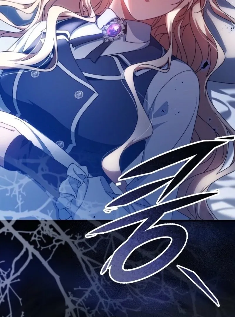 It’s My Destiny To Be The Hero’s Saviour Chapter 155 page 150 - 