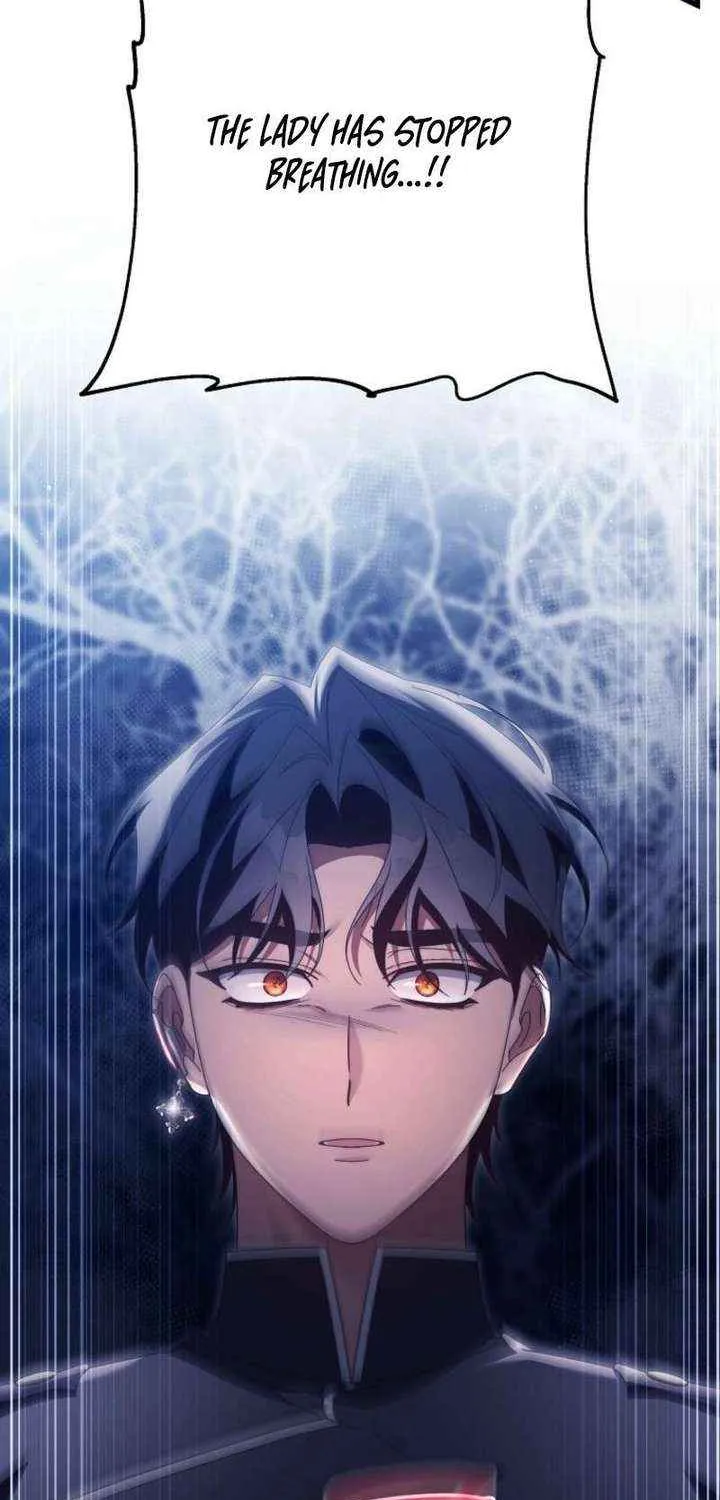 It’s My Destiny To Be The Hero’s Saviour Chapter 156 page 16 - 