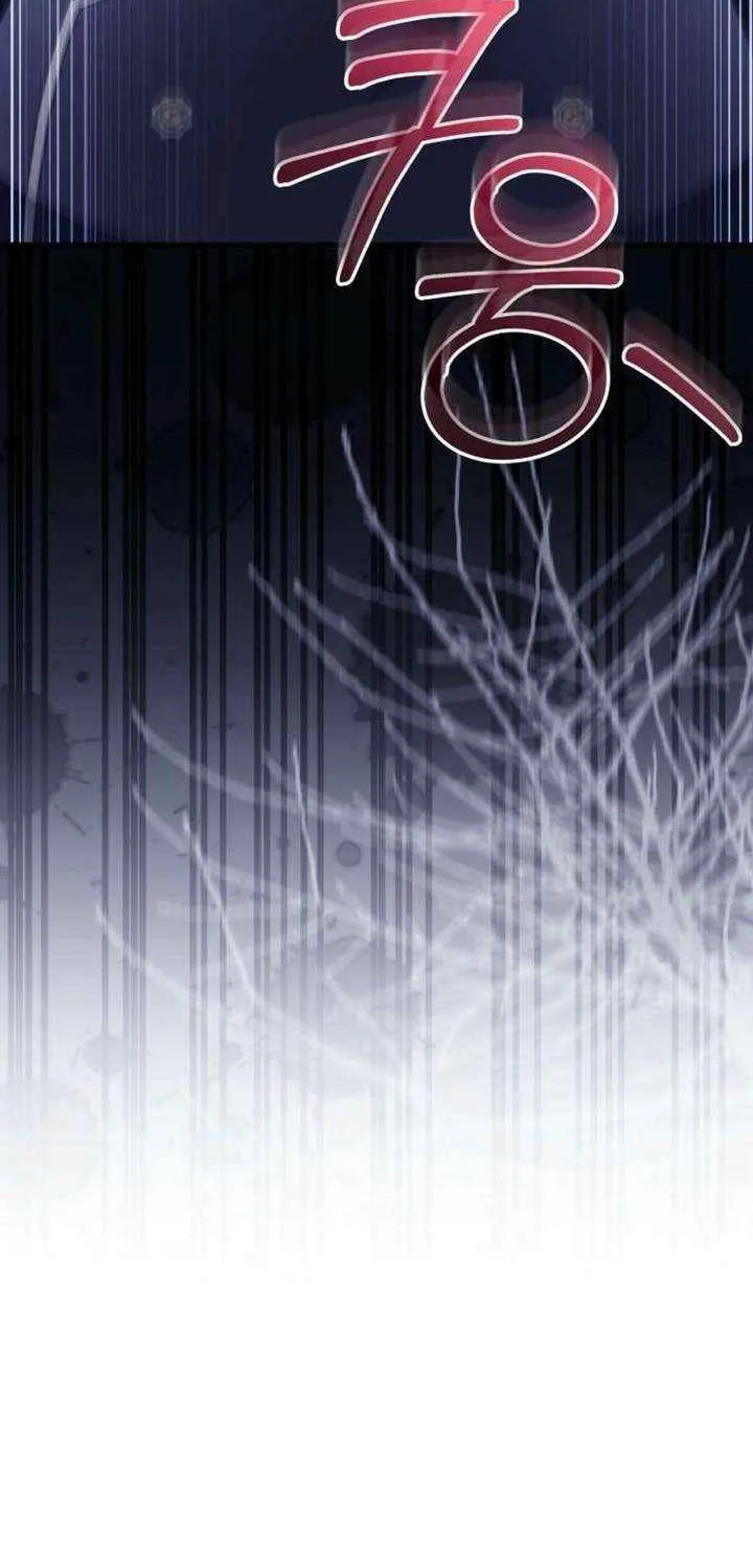 It’s My Destiny To Be The Hero’s Saviour Chapter 156 page 17 - 