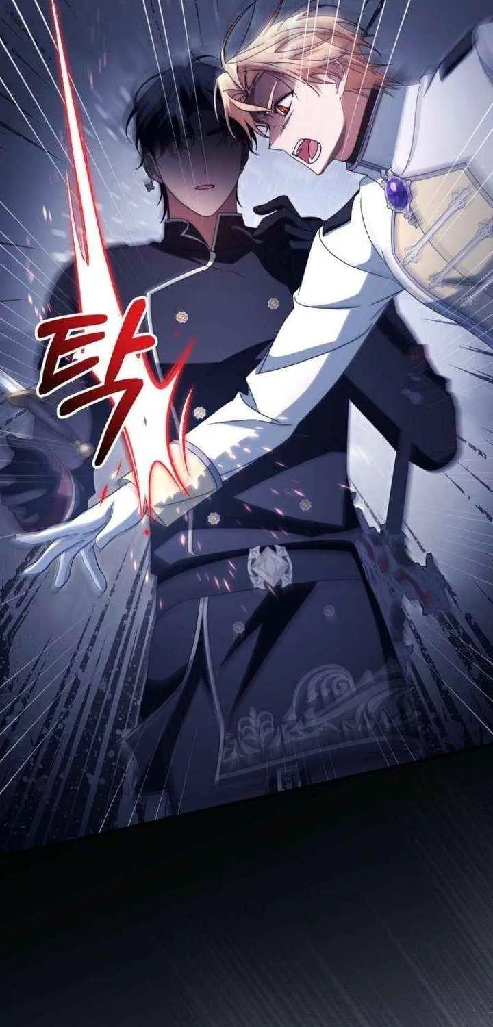 It’s My Destiny To Be The Hero’s Saviour Chapter 156 page 30 - 