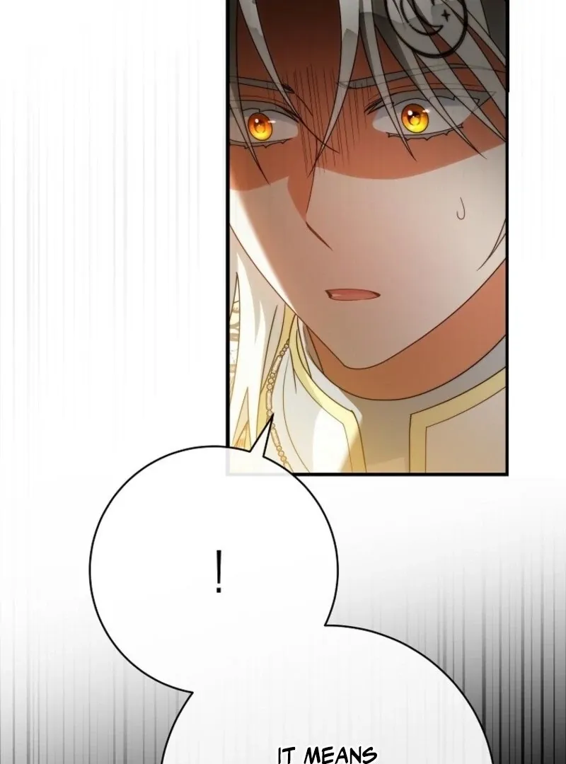 It’s My Destiny To Be The Hero’s Saviour Chapter 157 page 106 - 