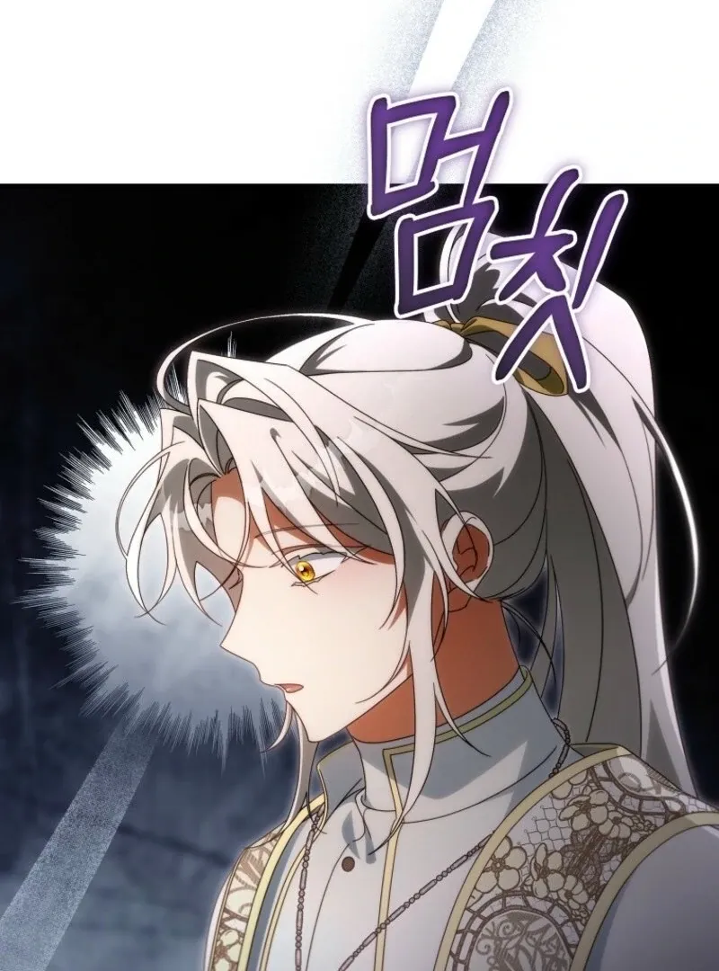 It’s My Destiny To Be The Hero’s Saviour Chapter 157 page 26 - 