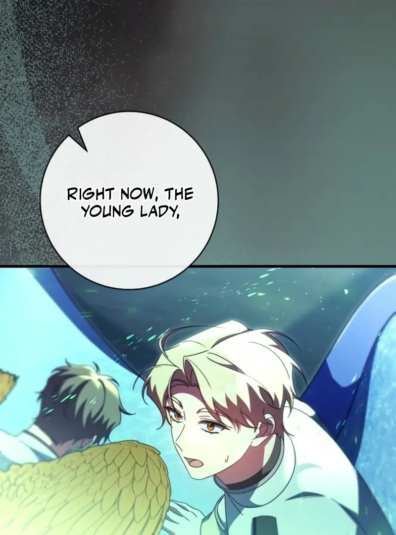 It’s My Destiny To Be The Hero’s Saviour Chapter 158 page 135 - 