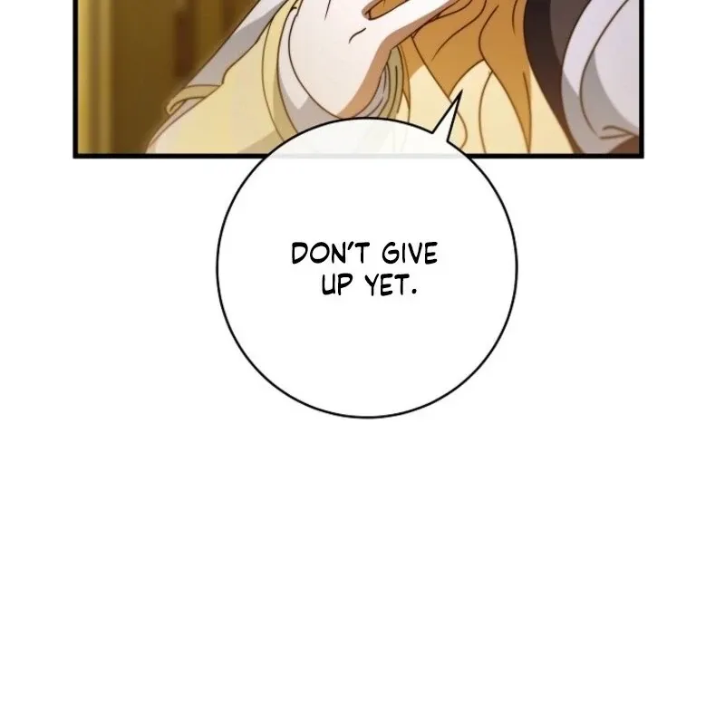 It’s My Destiny To Be The Hero’s Saviour Chapter 161 page 70 - 