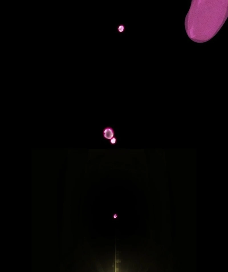 It’s My Destiny To Be The Hero’s Saviour Chapter 162 page 11 - 