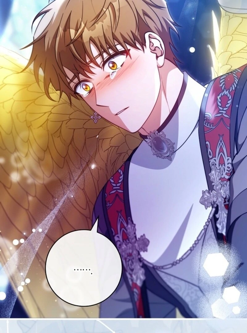 It’s My Destiny To Be The Hero’s Saviour Chapter 162 page 127 - 