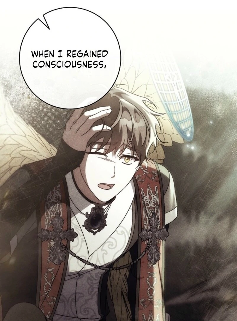 It’s My Destiny To Be The Hero’s Saviour Chapter 162 page 133 - 