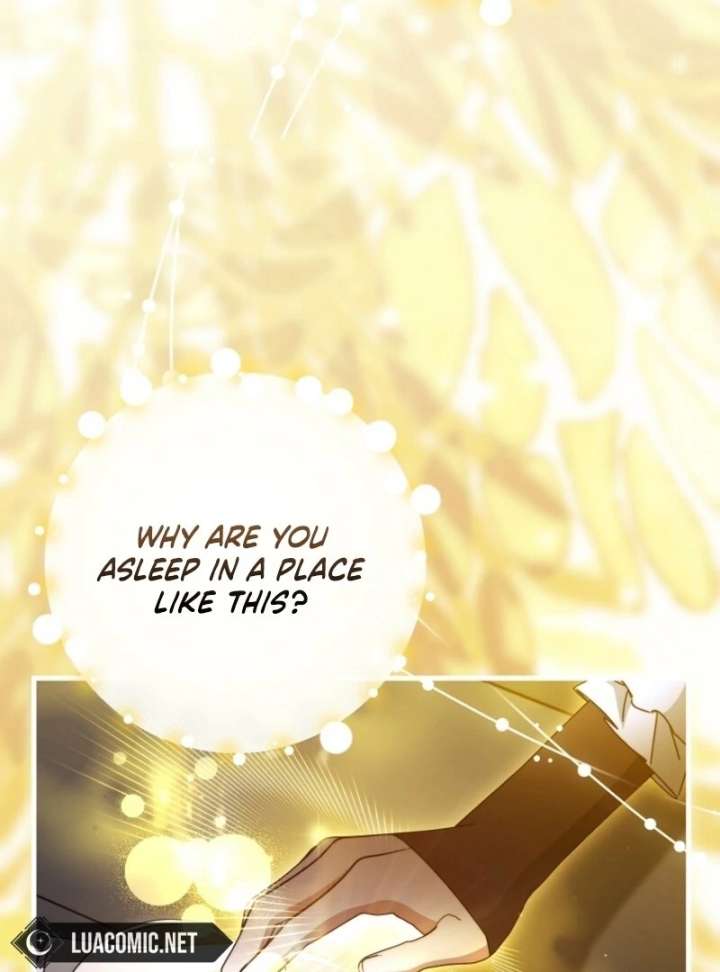 It’s My Destiny To Be The Hero’s Saviour Chapter 163 page 58 - 