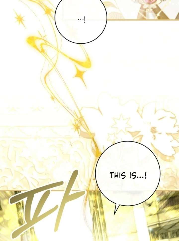 It’s My Destiny To Be The Hero’s Saviour Chapter 163 page 91 - 