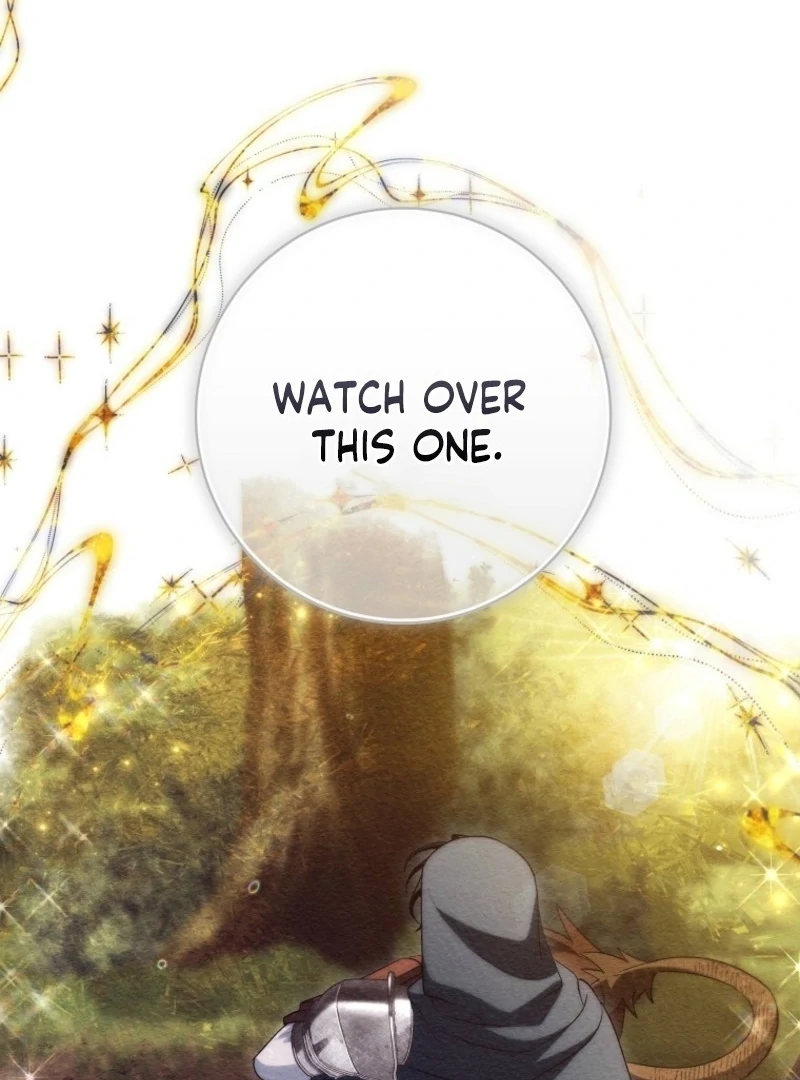 It’s My Destiny To Be The Hero’s Saviour Chapter 164 page 142 - 