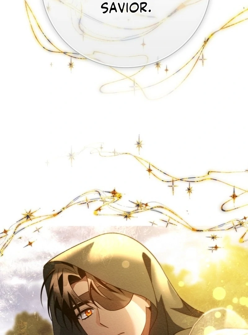 It’s My Destiny To Be The Hero’s Saviour Chapter 164 page 145 - 