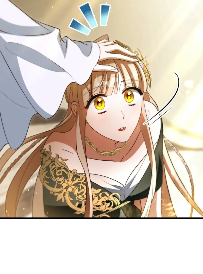 It’s My Destiny To Be The Hero’s Saviour Chapter 164 page 150 - 