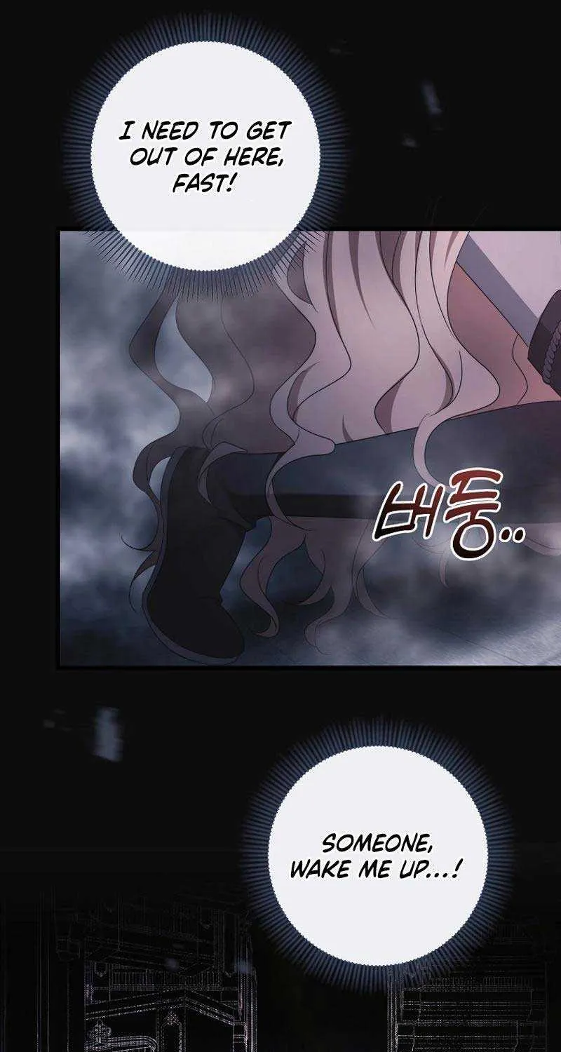 It’s My Destiny To Be The Hero’s Saviour Chapter 98 page 64 - 