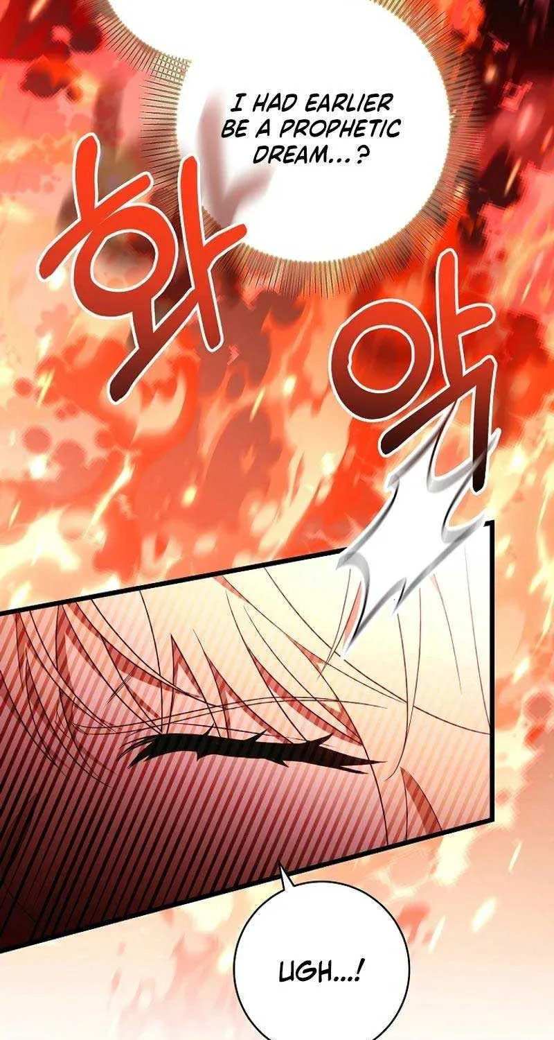It’s My Destiny To Be The Hero’s Saviour Chapter 99 page 24 - 