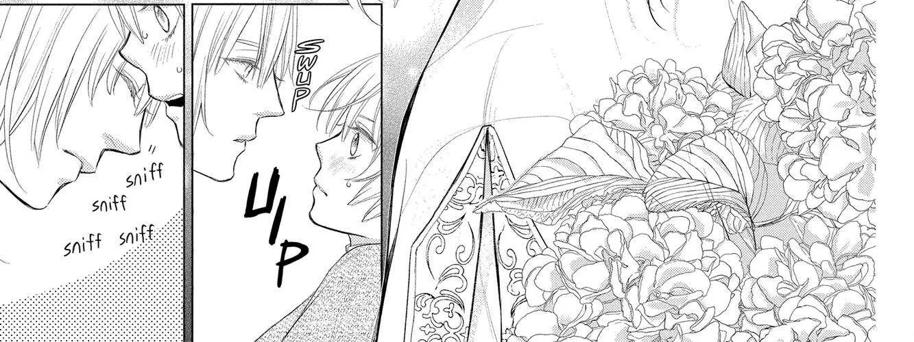 Read Itsuwari no Freya chapter 12 image 46 on Lezhin