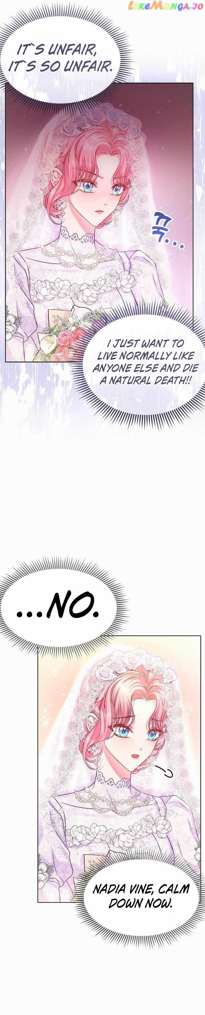 Read I’ve Probably Made a Mistake in Getting Married chapter 3 image 2 on Lezhin